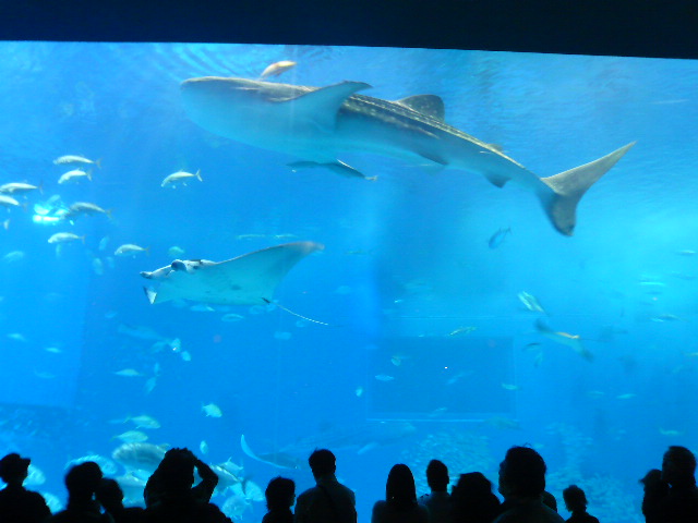 e0026017_22412052.jpg