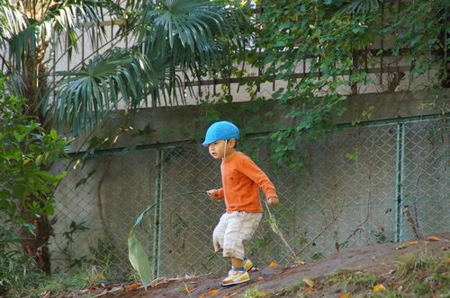 f0225631_11391658.jpg