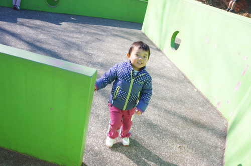 f0225631_127108.jpg