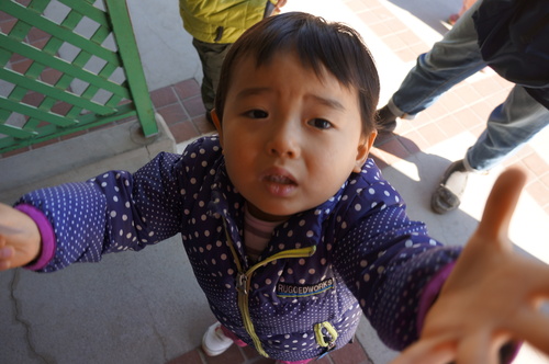 f0225631_1274521.jpg