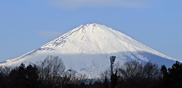 d0037233_14552560.jpg