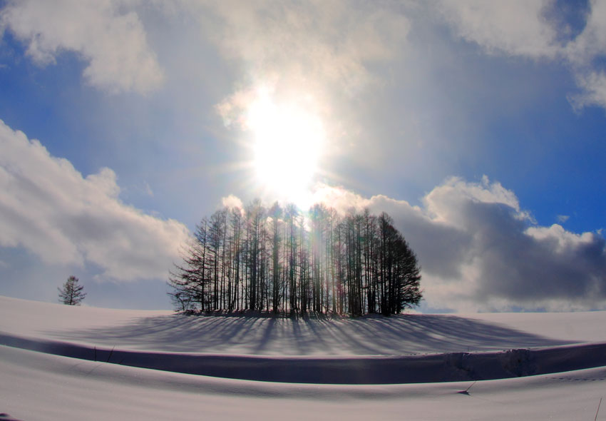 d0069235_142753.jpg