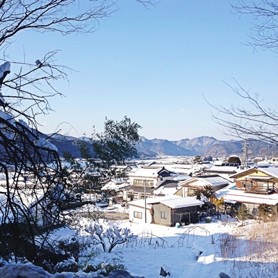 d0008146_039386.jpg
