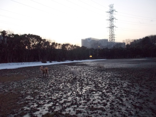 e0121548_200939.jpg