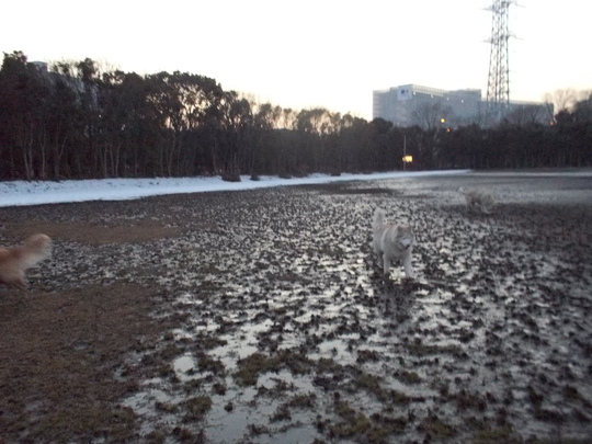 e0121548_203630.jpg