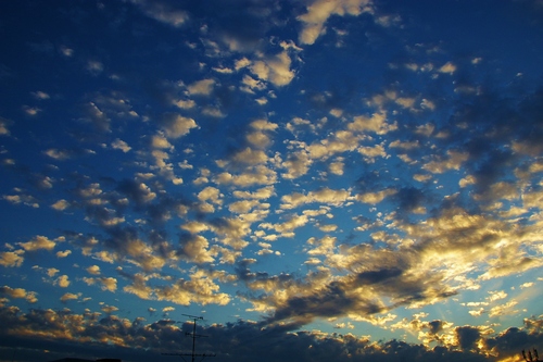 a0299749_23422146.jpg