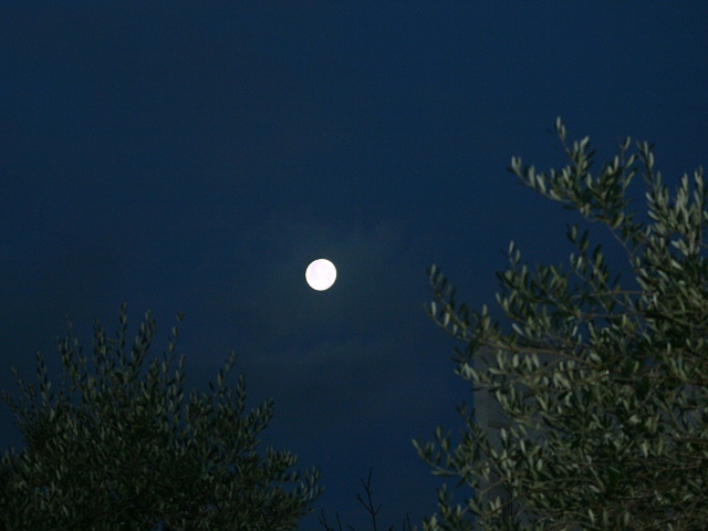 b0289649_2134985.jpg