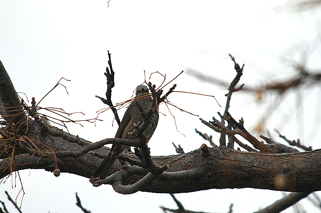 f0214649_2134788.jpg