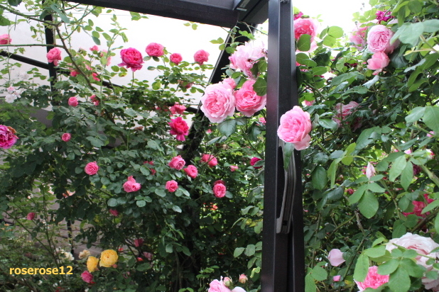 a0249051_18444629.jpg