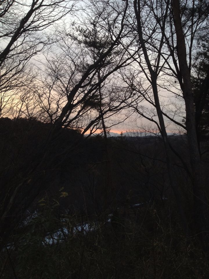 b0021251_1053959.jpg