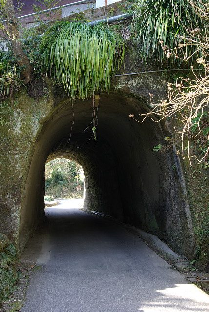 c0080357_21122372.jpg