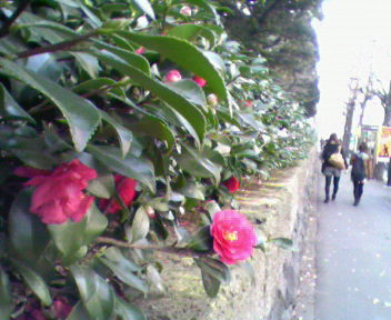 b0105259_12545092.jpg
