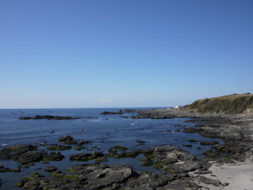 b0282061_5494779.jpg