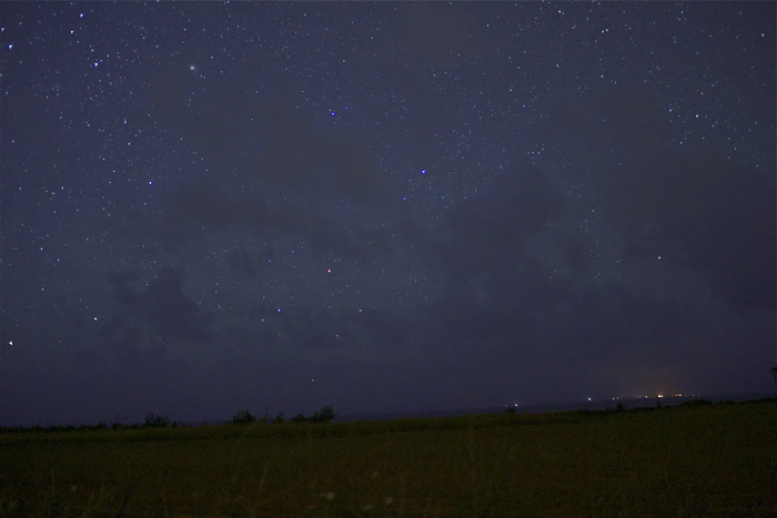 a0246566_6584790.png