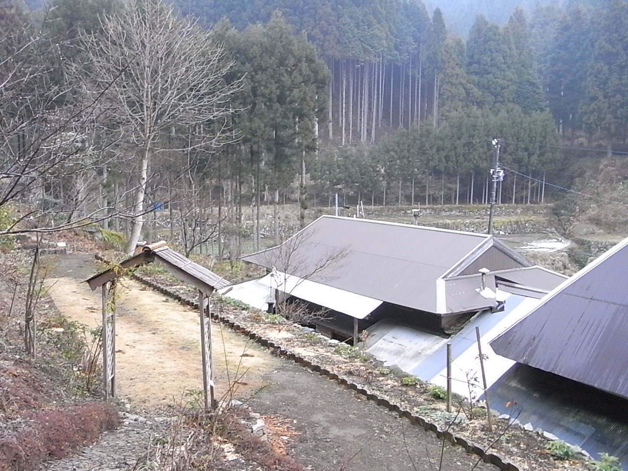 a0146070_823379.jpg