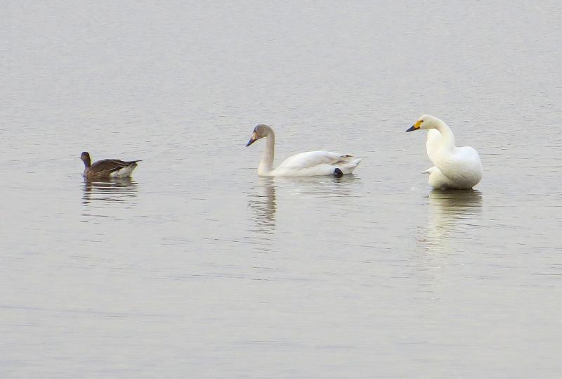 b0167370_14552298.jpg