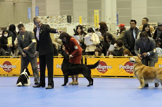 a0073492_1131285.jpg