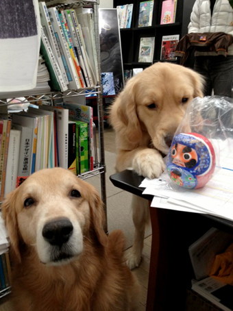 c0096393_21344158.jpg