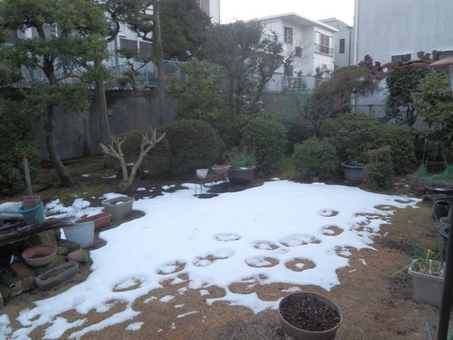 f0130894_22162124.jpg