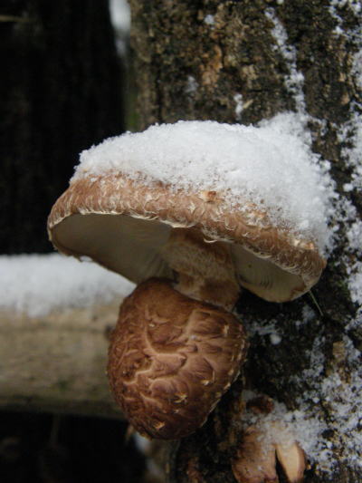 e0017396_23233119.jpg