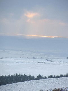 b0110999_311565.jpg