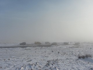 b0110999_313022.jpg