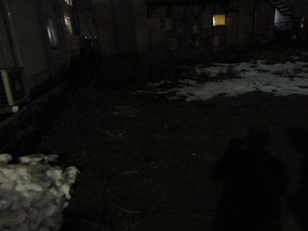 d0109399_20521398.jpg