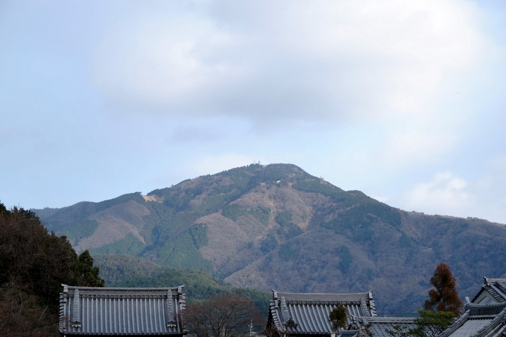 b0138101_5352117.jpg