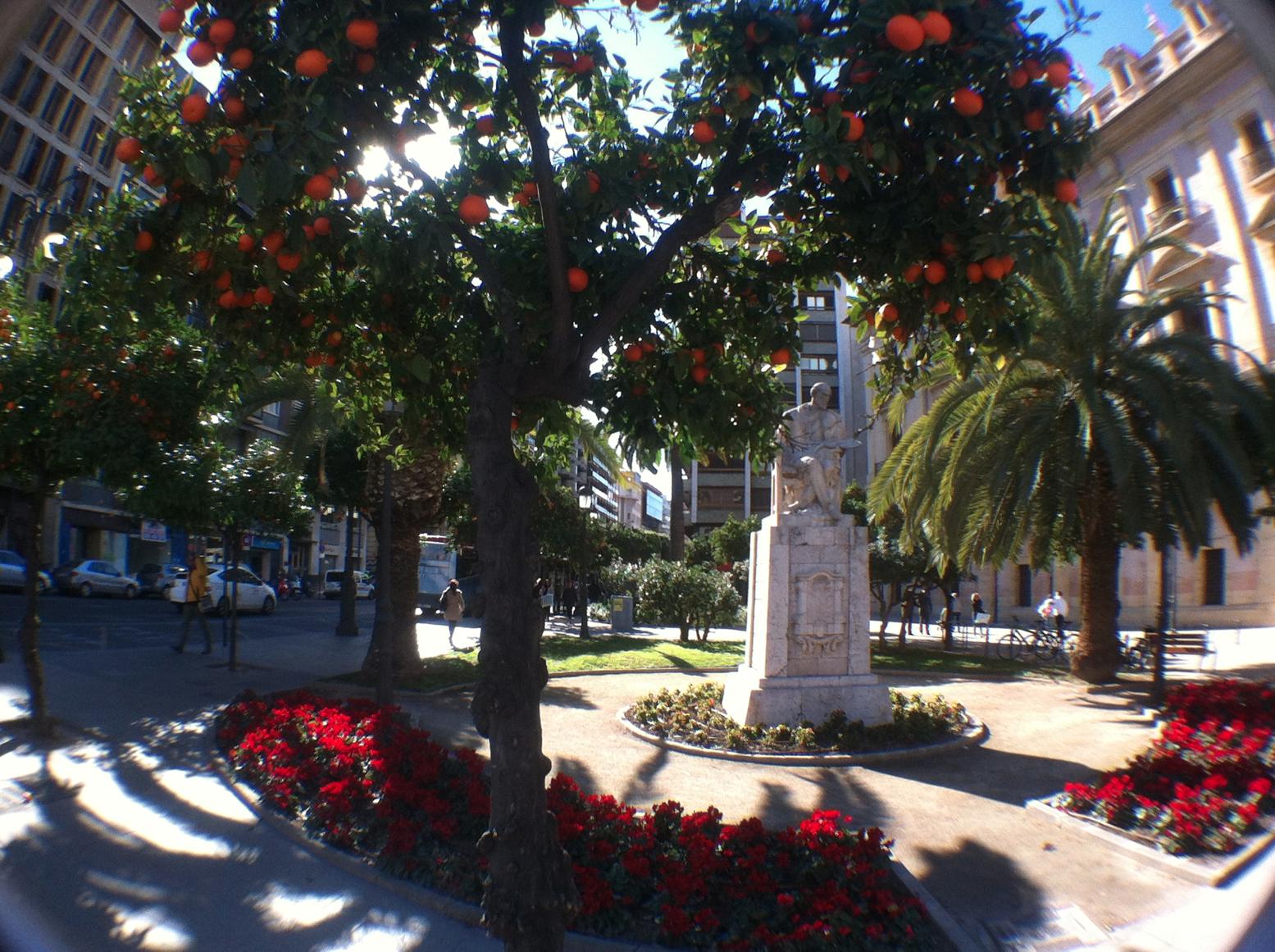 c0107901_637272.jpg