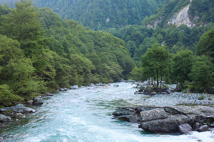 a0148606_12233981.jpg