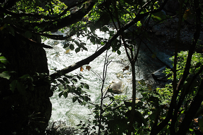 a0148606_12272484.jpg