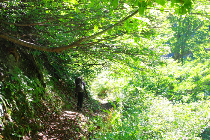 a0148606_12292941.jpg