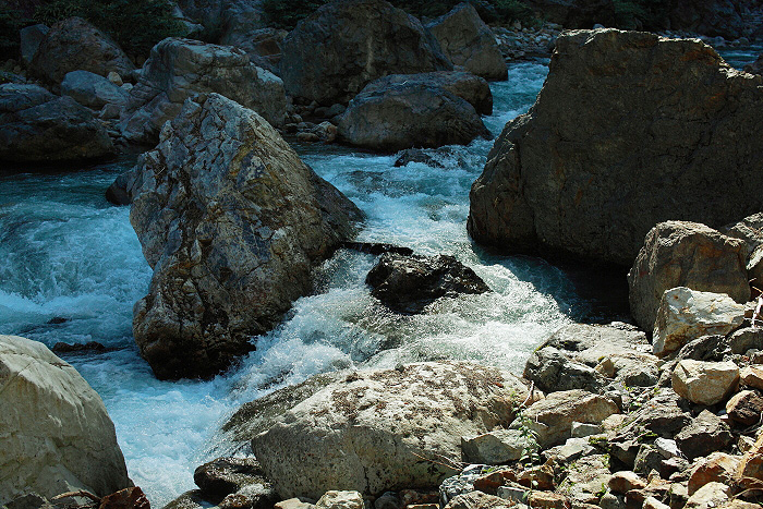 a0148606_12301791.jpg