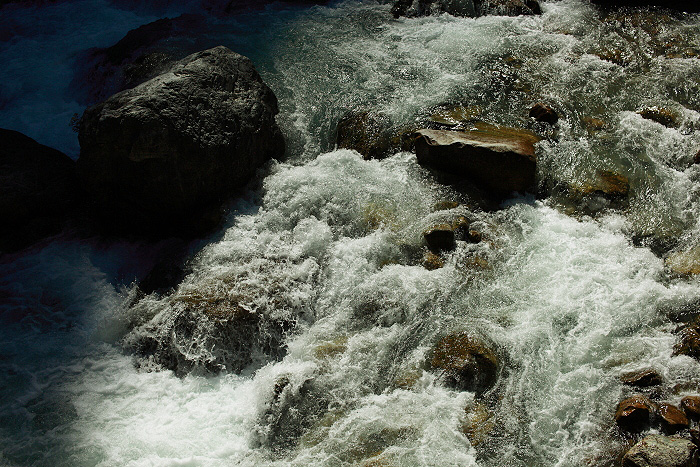 a0148606_12311489.jpg