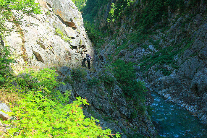 a0148606_12333149.jpg