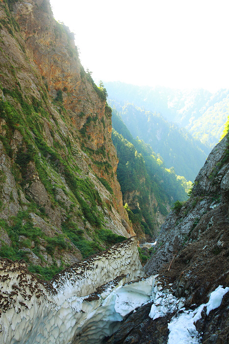 a0148606_12362936.jpg