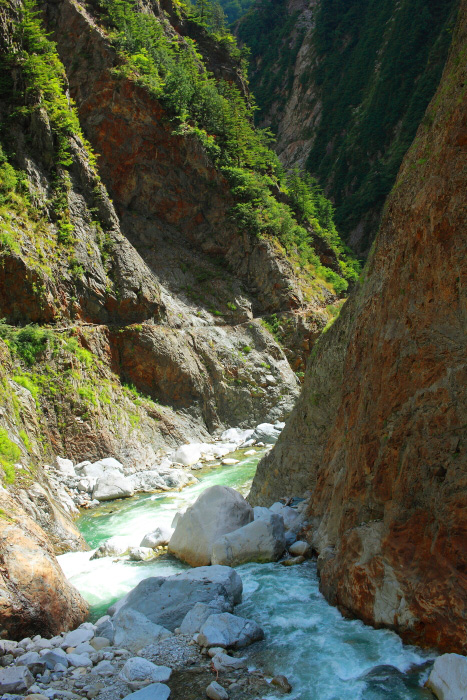 a0148606_12414643.jpg