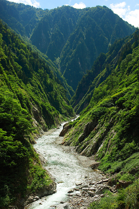 a0148606_12434962.jpg