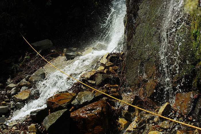 a0148606_12443475.jpg