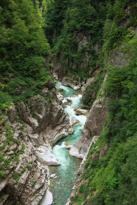 a0148606_1250455.jpg
