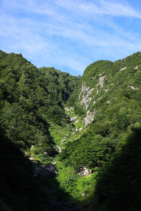 a0148606_1393083.jpg