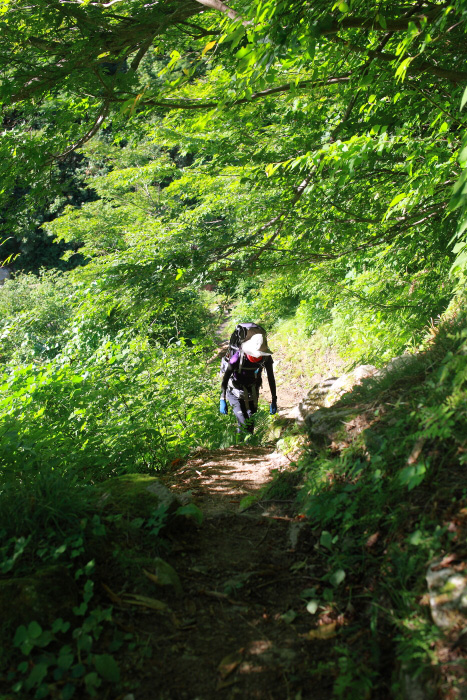 a0148606_181273.jpg