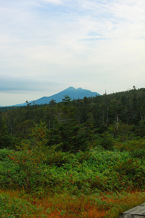 a0148606_18191548.jpg