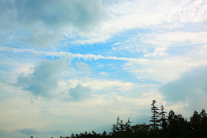 a0148606_1819251.jpg