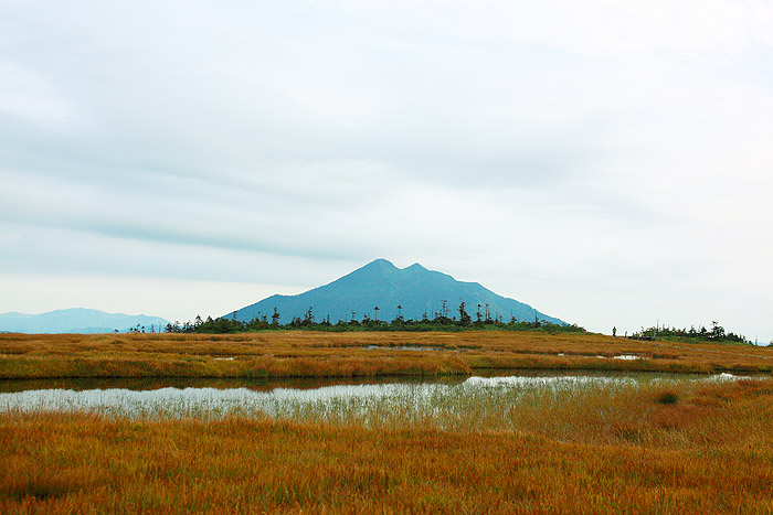 a0148606_18202930.jpg
