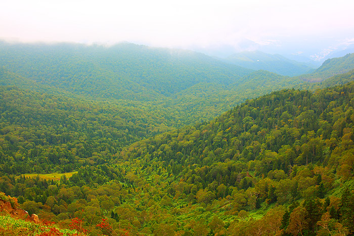 a0148606_18215244.jpg