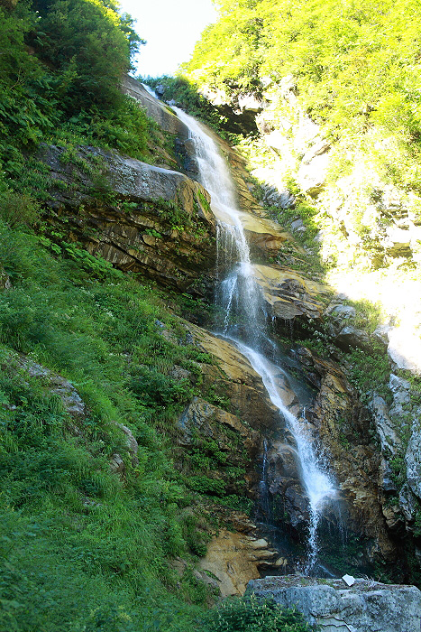 a0148606_1822412.jpg