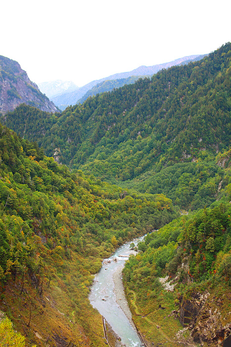 a0148606_1833501.jpg