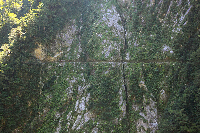 a0148606_187039.jpg