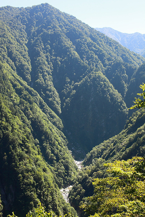 a0148606_1872075.jpg
